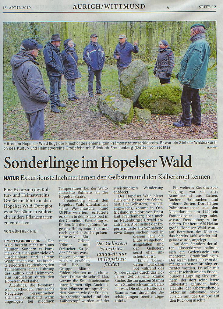 Hopelser Wald 130419